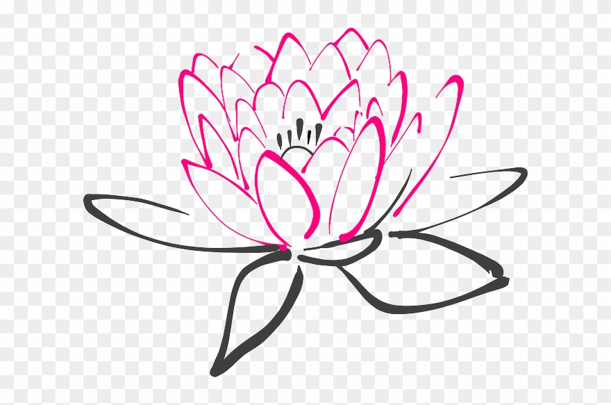 lily clipart pond lily