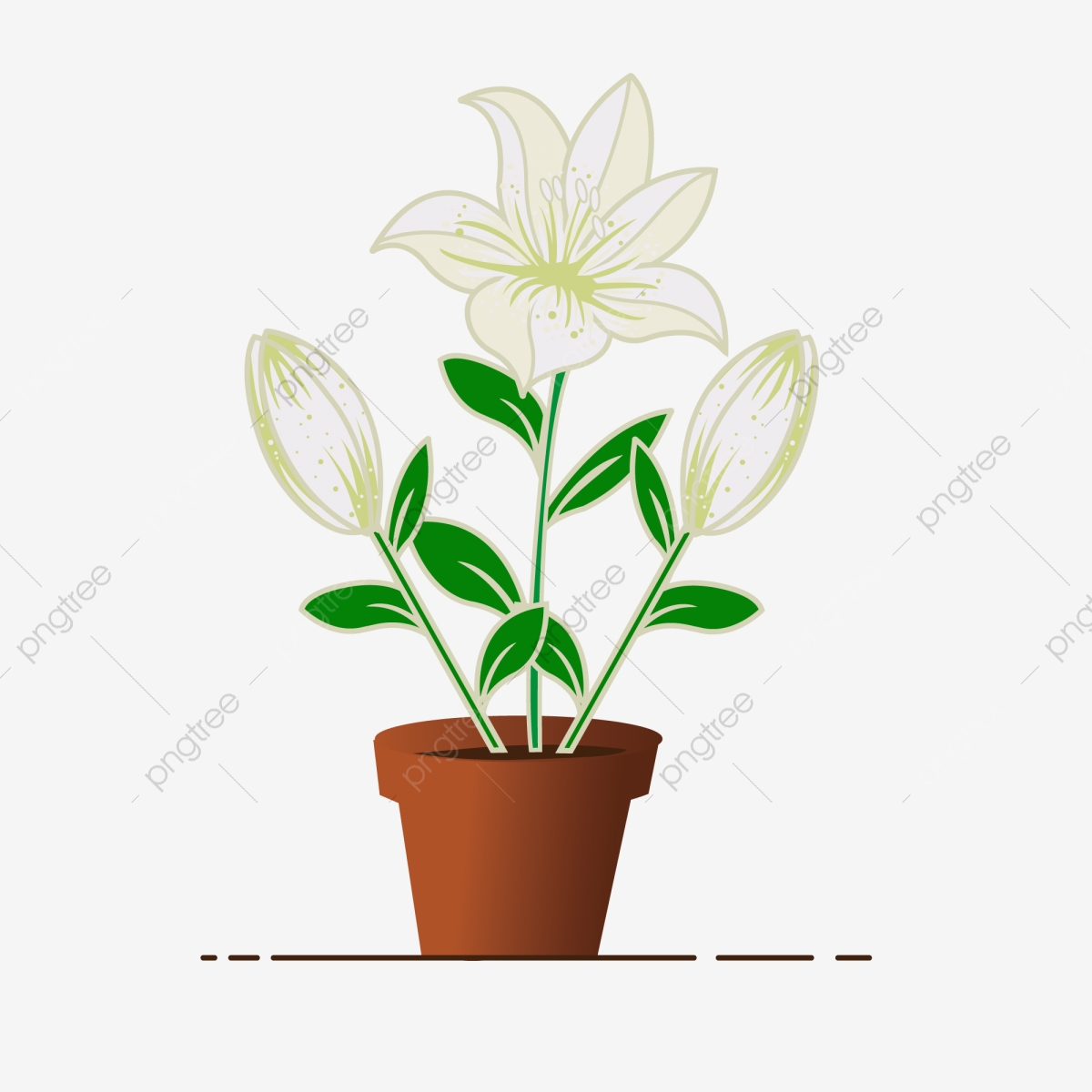 lily clipart potted