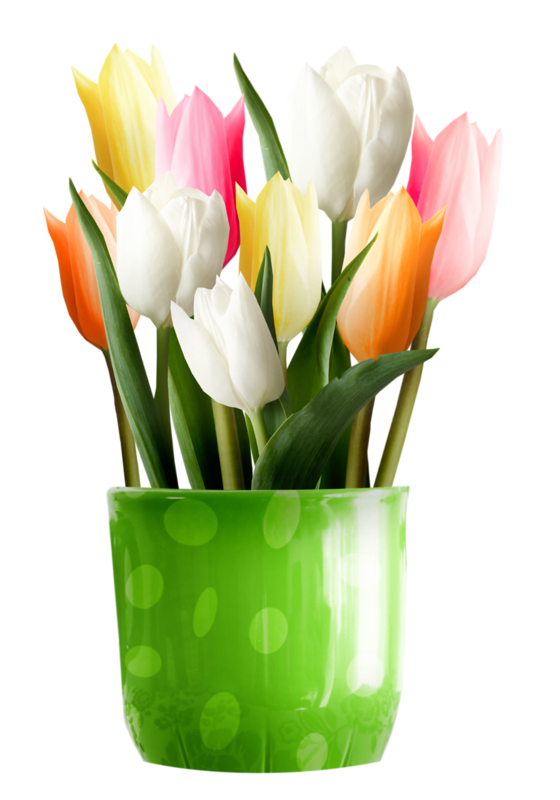 vase clipart 3 flower