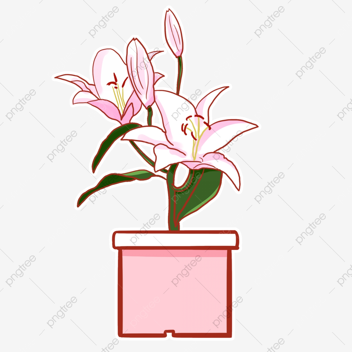 lily clipart potted
