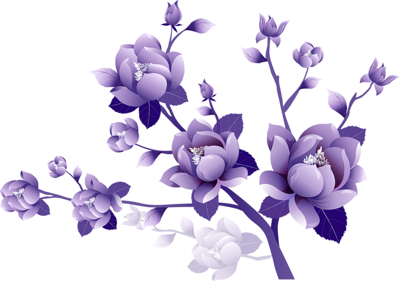 Lily clipart purple blossom. Hd collection of flower