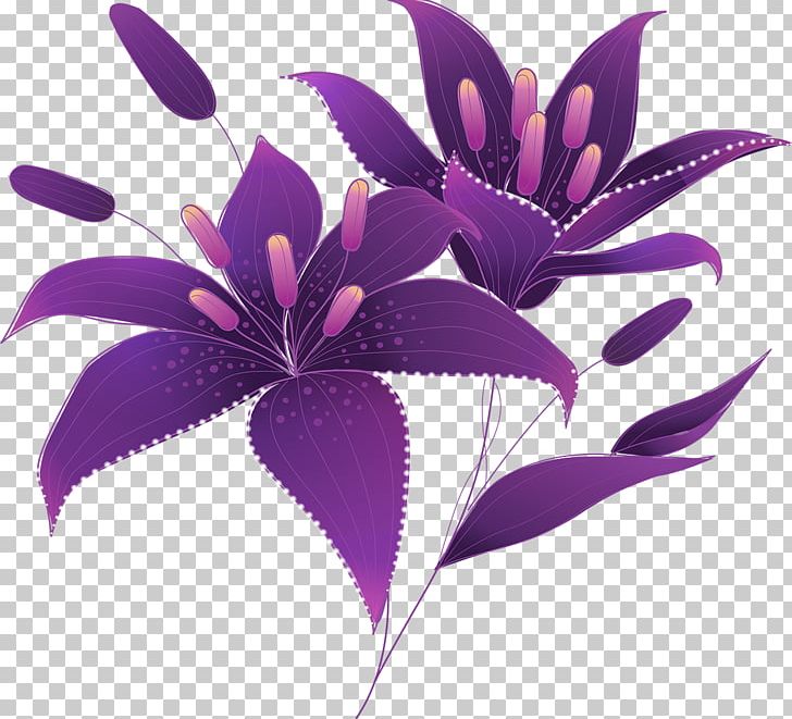 lily clipart purple lily
