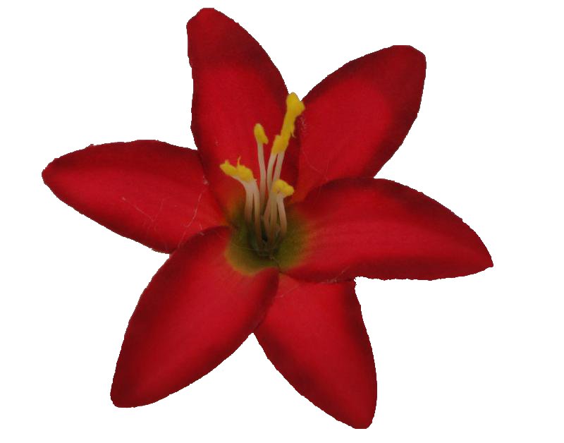 Small hair flower clip. Lily clipart red lily