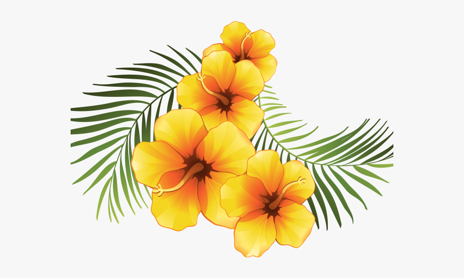 Luau clipart moana. Exotic tropical flowers transparent