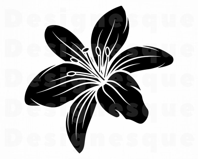 Lily clipart silhouette. Flower svg files for