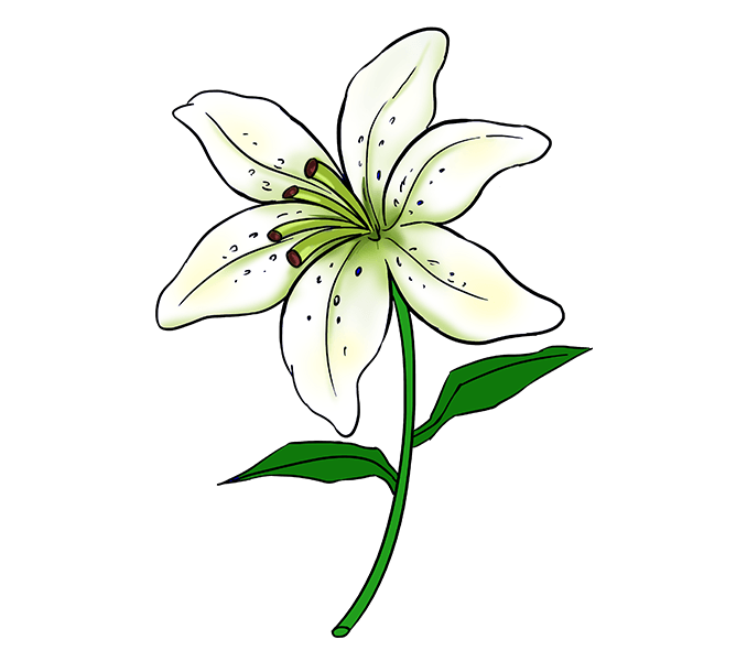 lily clipart simple