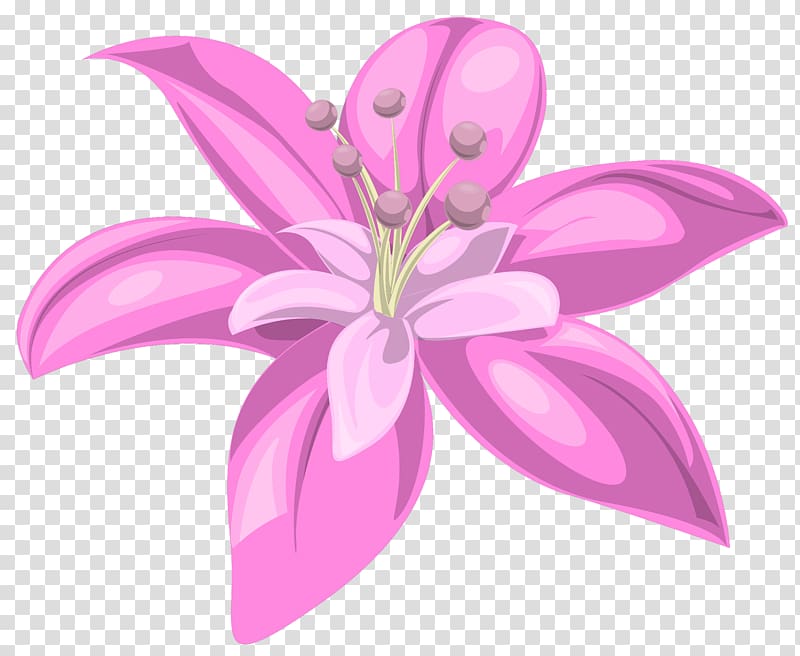 lily clipart single pink