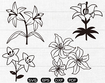 lily clipart svg