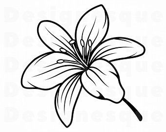 lily clipart svg