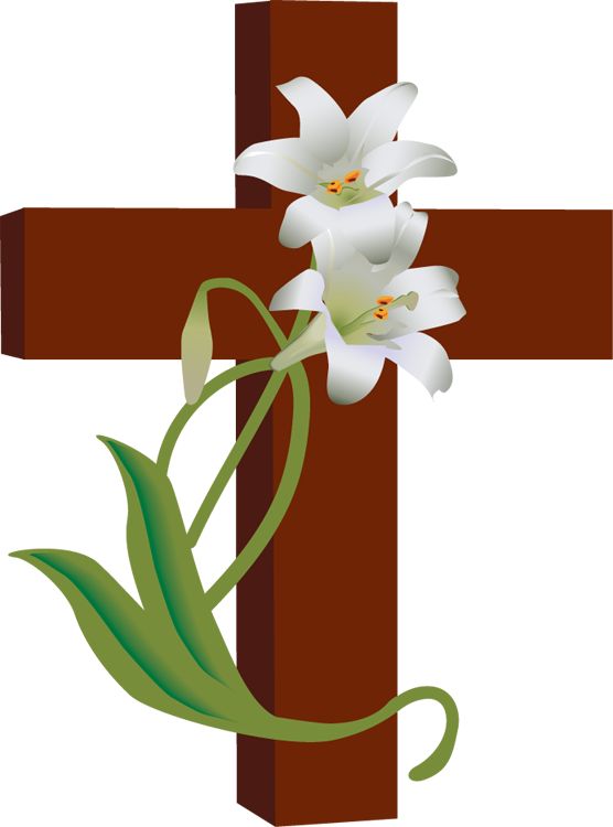 lily clipart sympathy flower