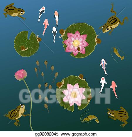 lily clipart underwater