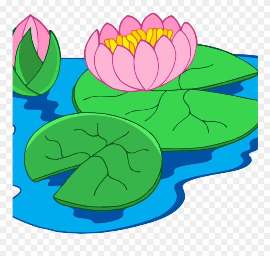 Lily clipart underwater. Water plant png download