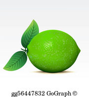 Clip art royalty free. Lime clipart