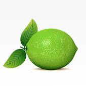 Lime clipart. Clip art royalty free