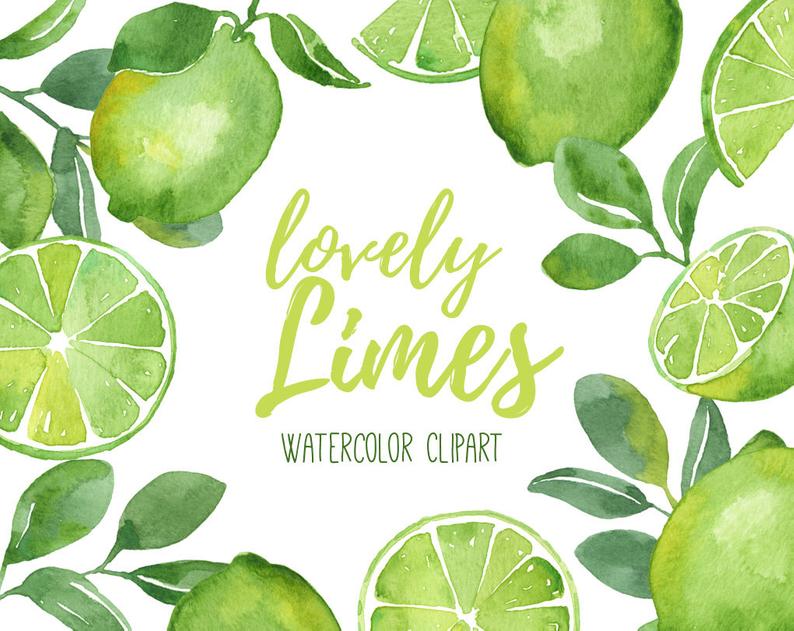 Watercolor fruit clip art. Lime clipart citrus