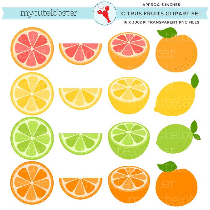 Fruits set clip art. Lime clipart citrus