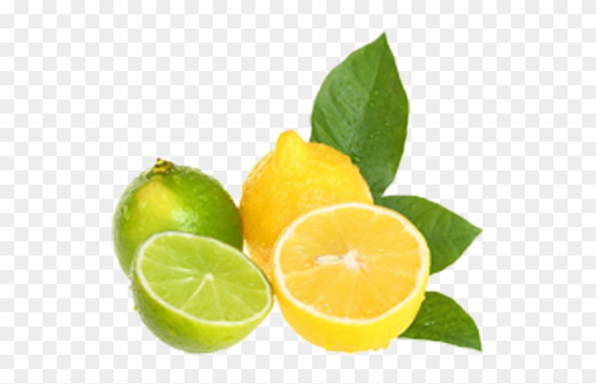 lime clipart clip art