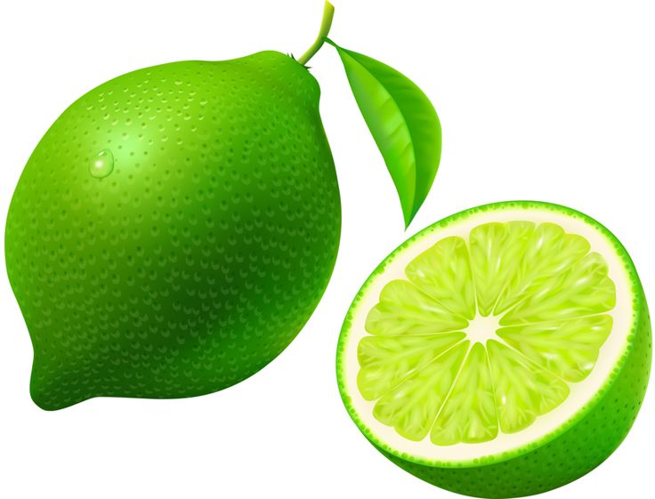 Lime clipart green lime. Free download best on