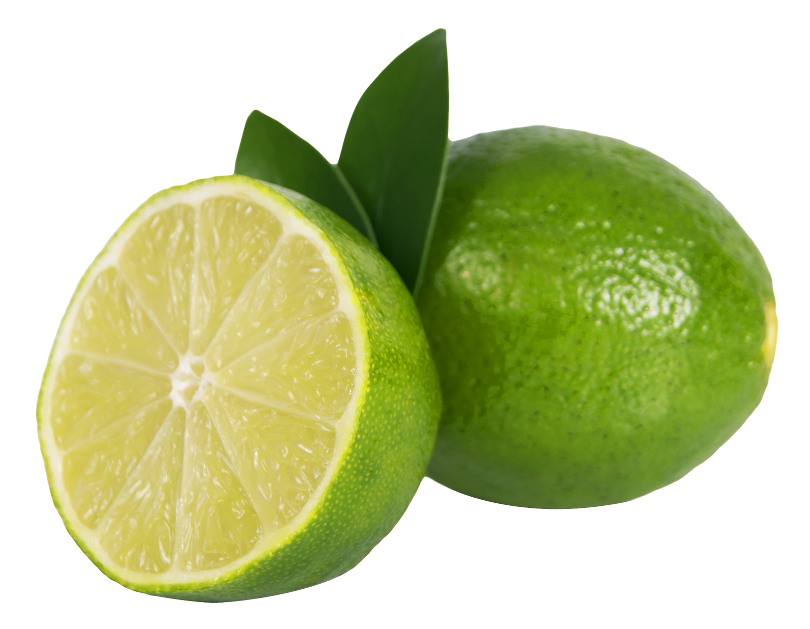Lime clipart half lime. Free photo sliced macro