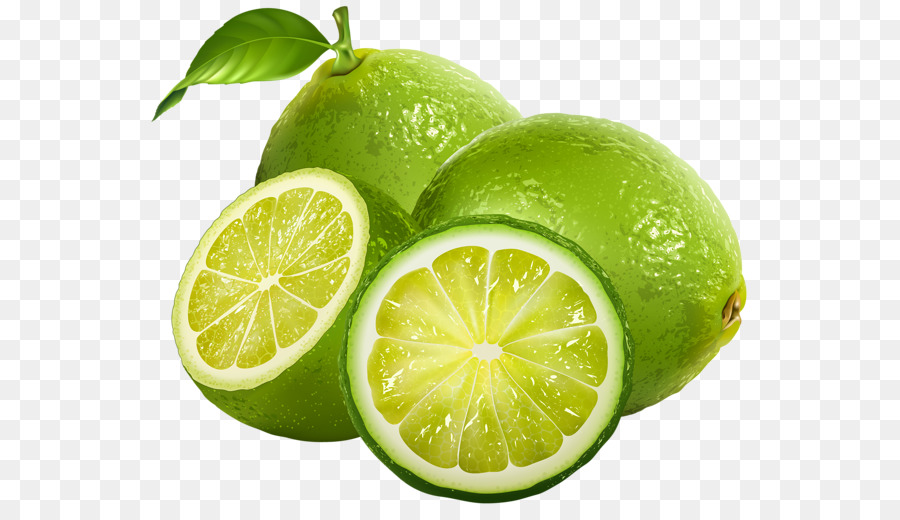 lime clipart lime fruit