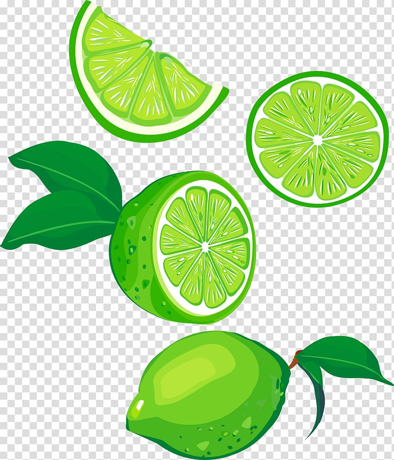 lime clipart lime fruit