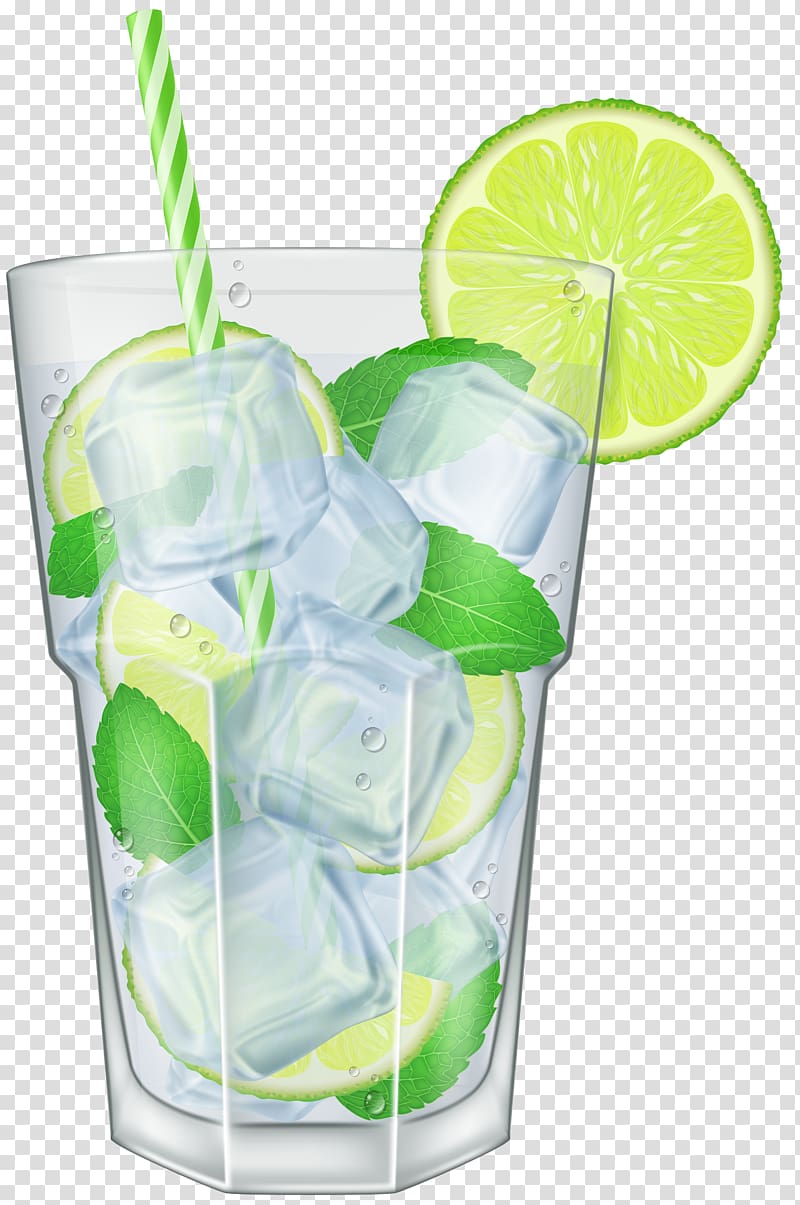 Calamansi juice illustration mojito. Lime clipart limeade