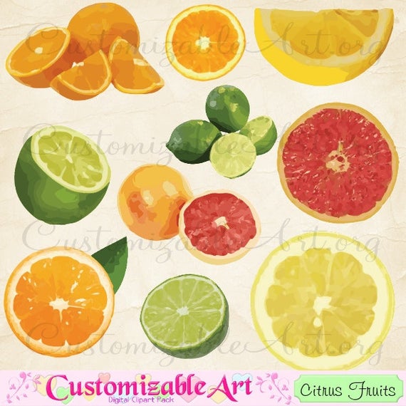 Lime clipart sour food. Citrus fruit clip art