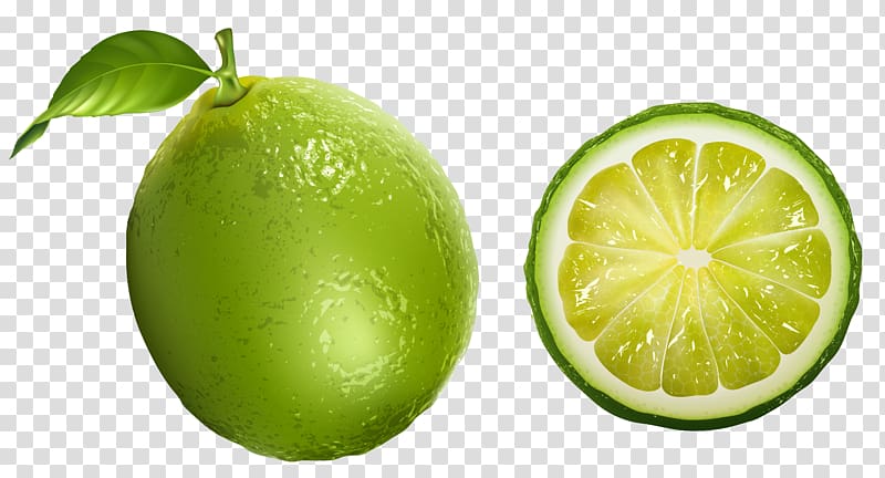 Lime clipart sweet lime. Sliced illustration lemon drink