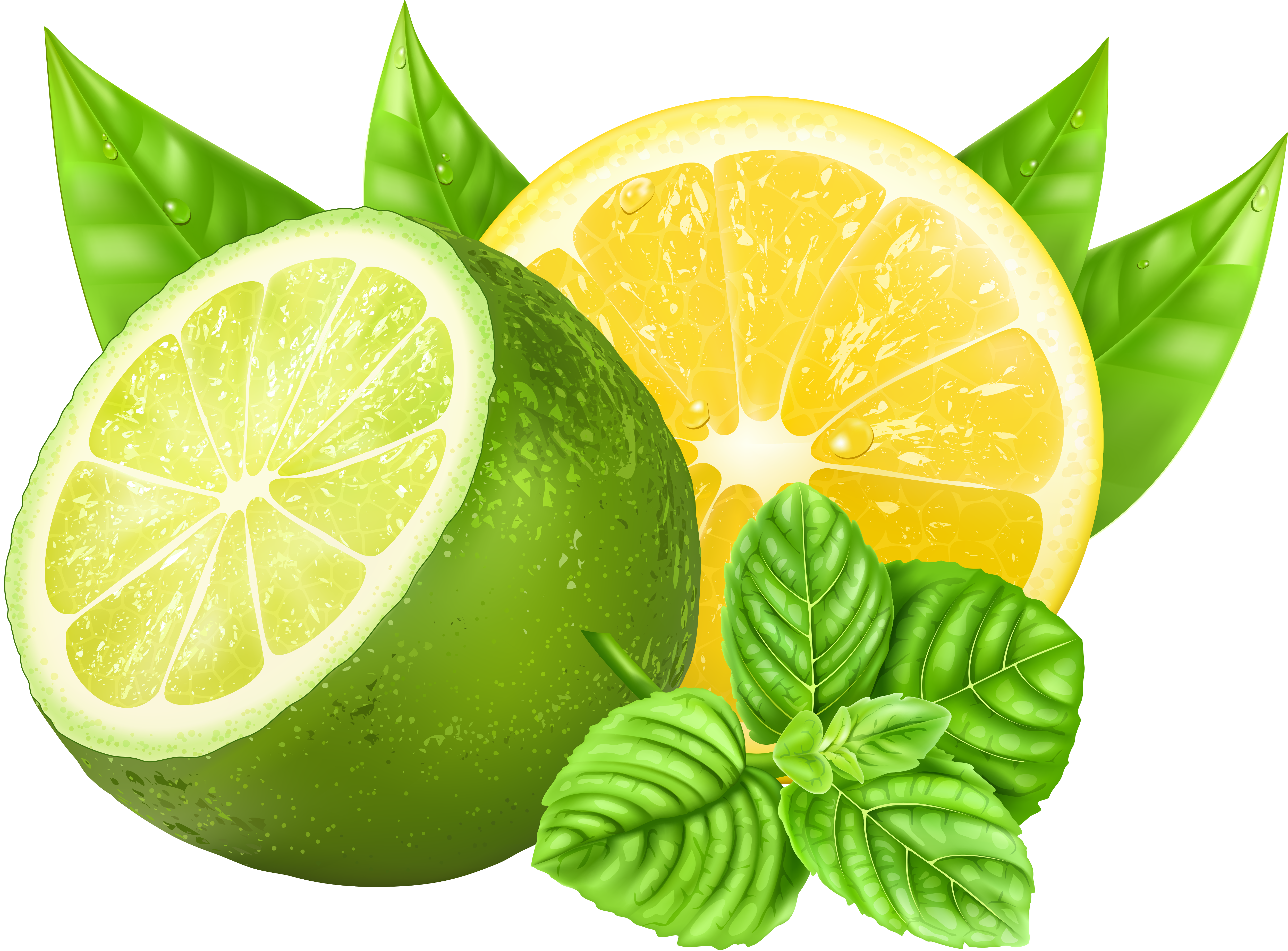 Lime clipart vector.  a f c