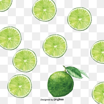 Lime clipart vector. Png psd and with