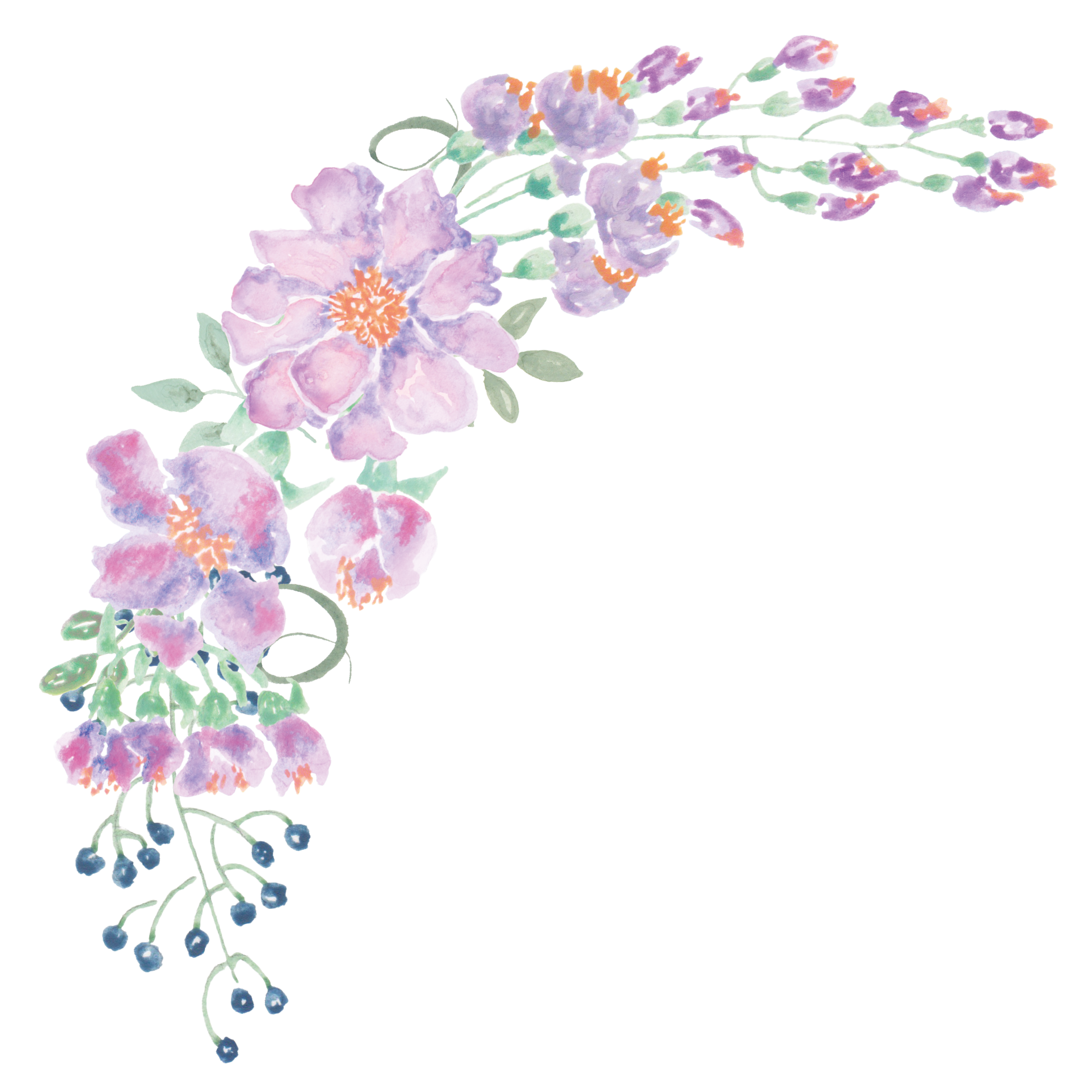 Floral design flowers watercolor. Lime clipart watercolour
