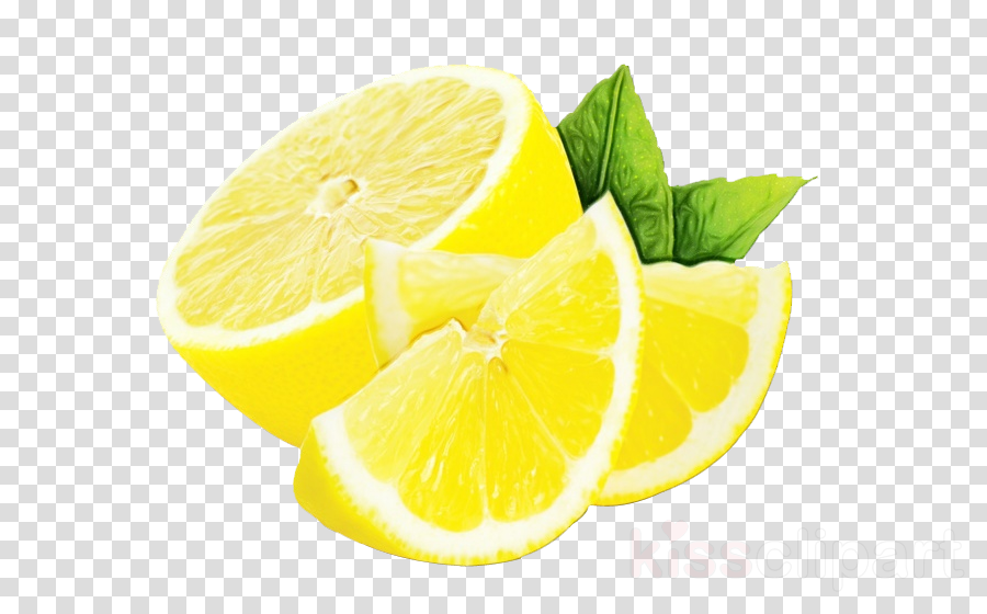 Lemon peel . Lime clipart yellow