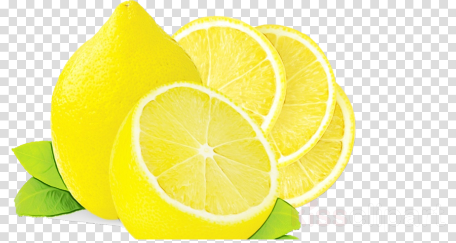 Lemon citrus key . Lime clipart yellow