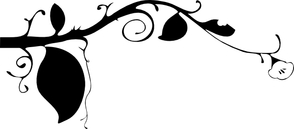Lines clipart vine. Free line cliparts download