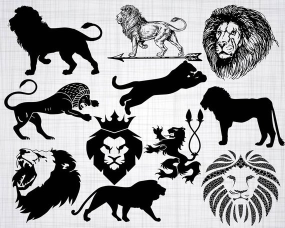 lion clipart collage