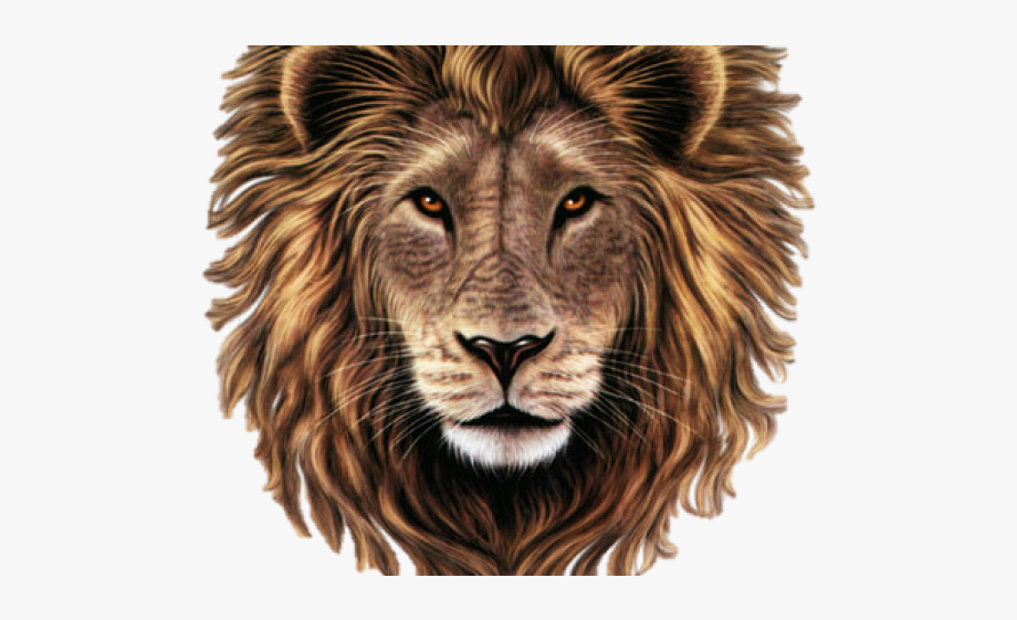 Png logo free . Lion clipart lion head