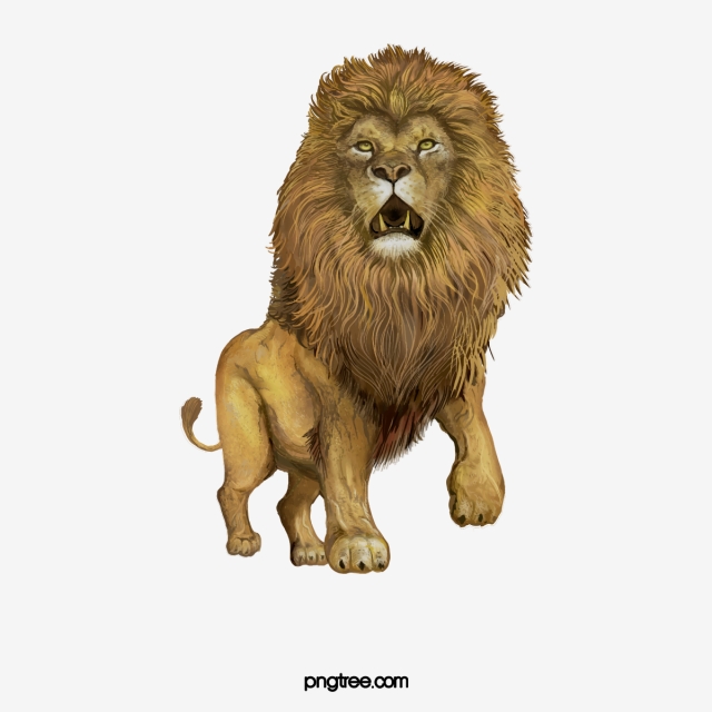 lions clipart male