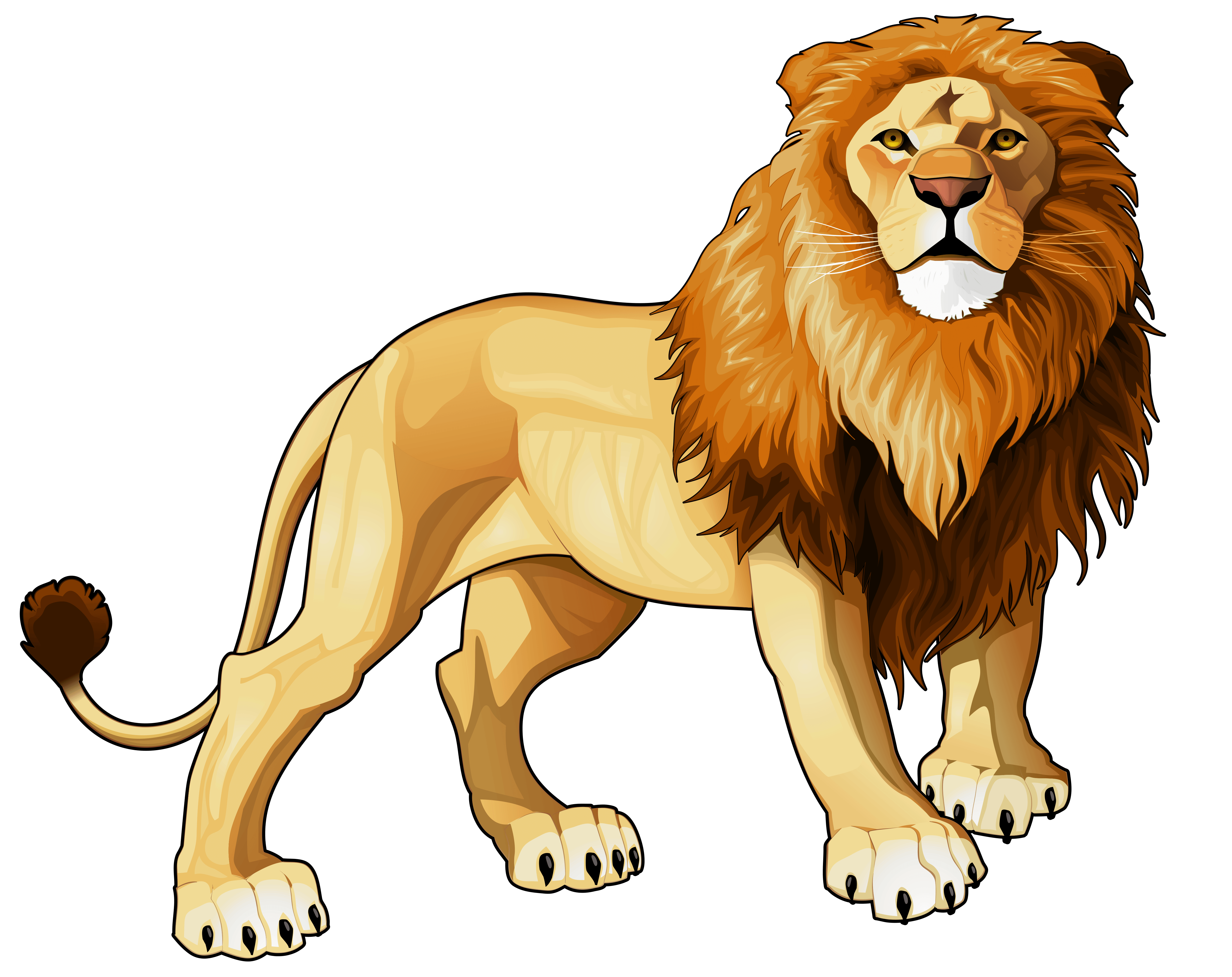 lion clipart mammal