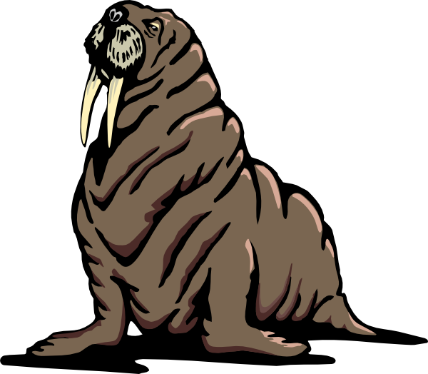 seal clipart blubber