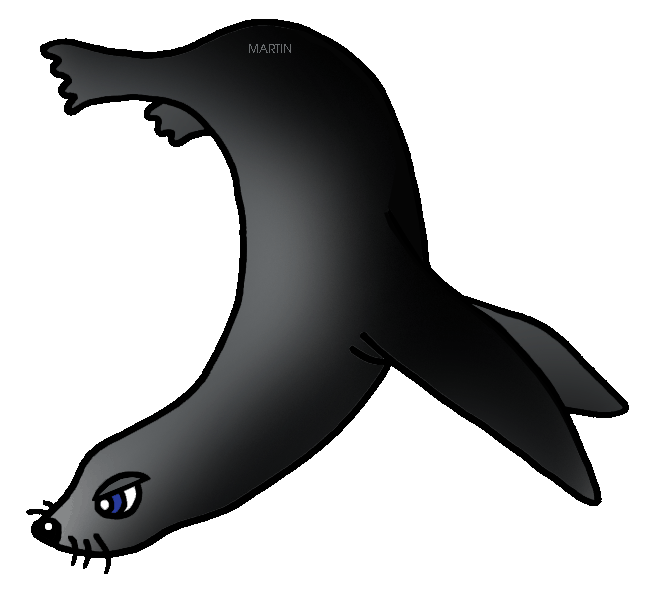 seal clipart marine mammal