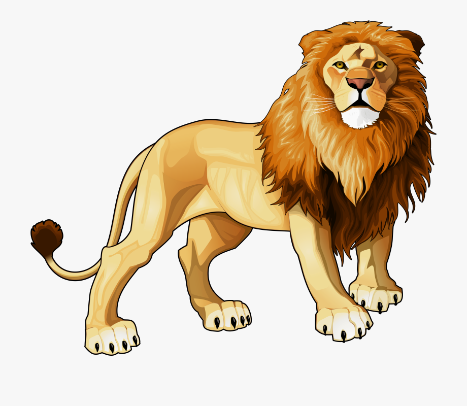 Png free cliparts on. Lion clipart clip art