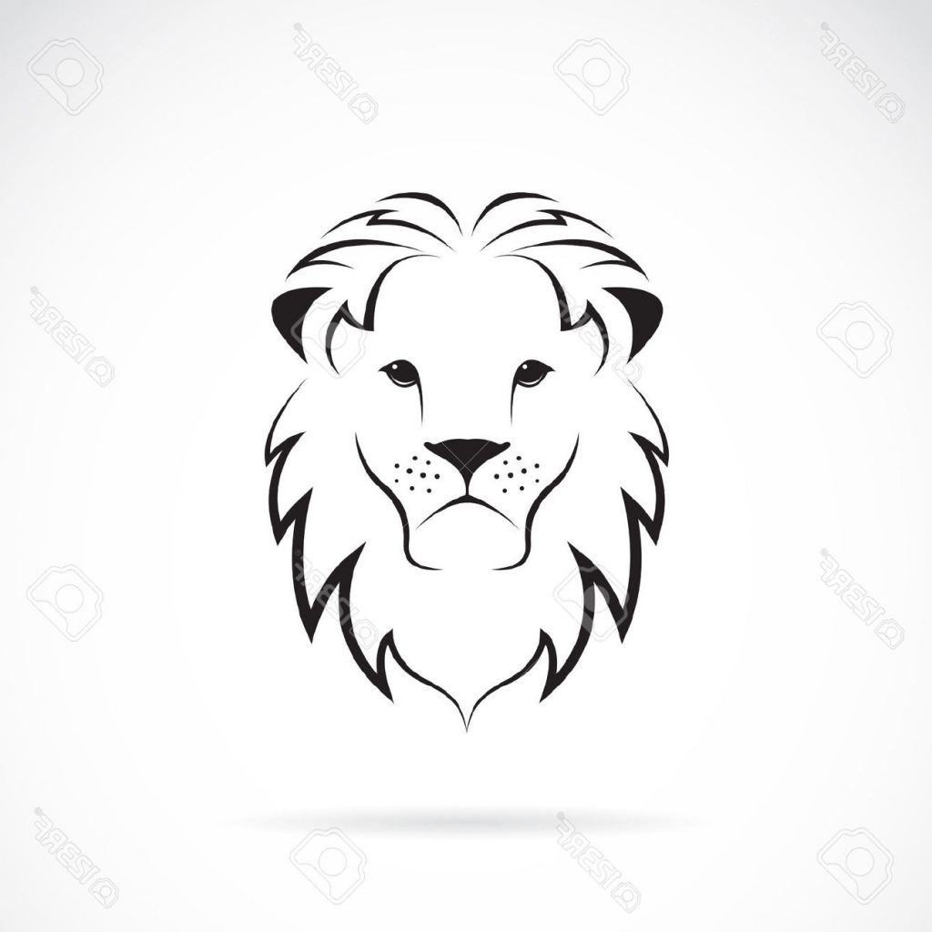 lions clipart easy