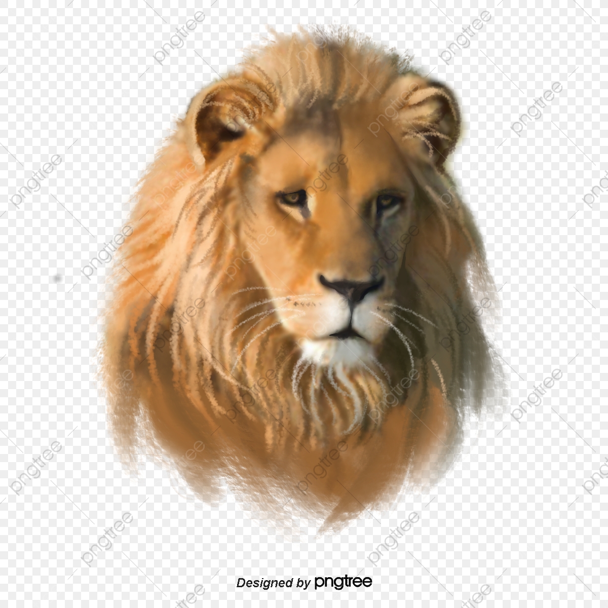 Грива Льва на прозрачном фоне