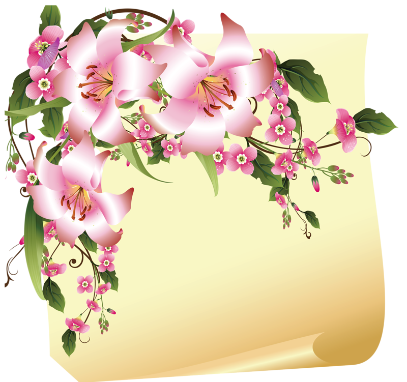 Lions clipart frame.  png background ideas