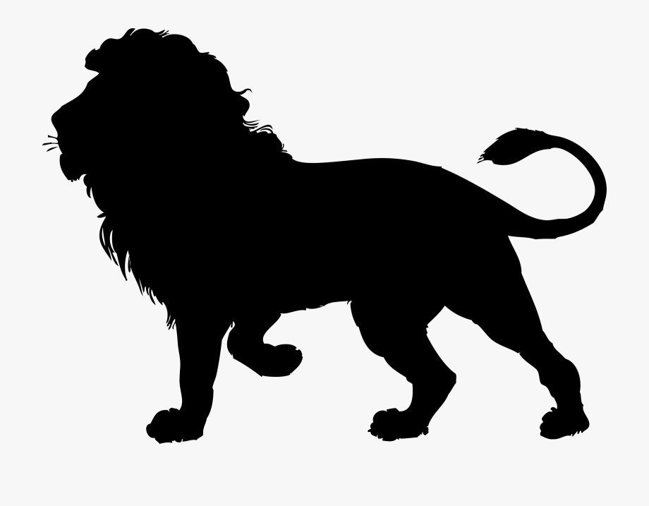Black gallery by taylor. Lions clipart shadow