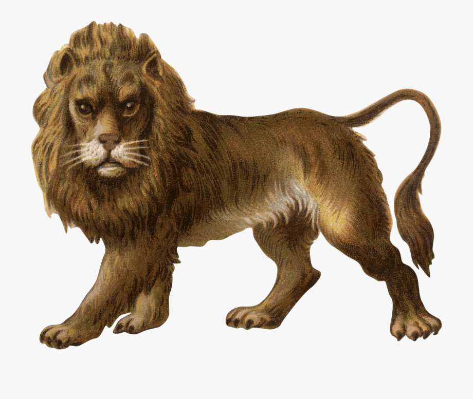Lions clipart toy. Vintage lion transparent cartoon