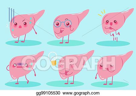 Vector art cartoon eps. Liver clipart cute
