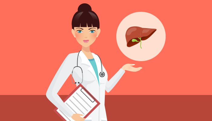 liver clipart damaged liver