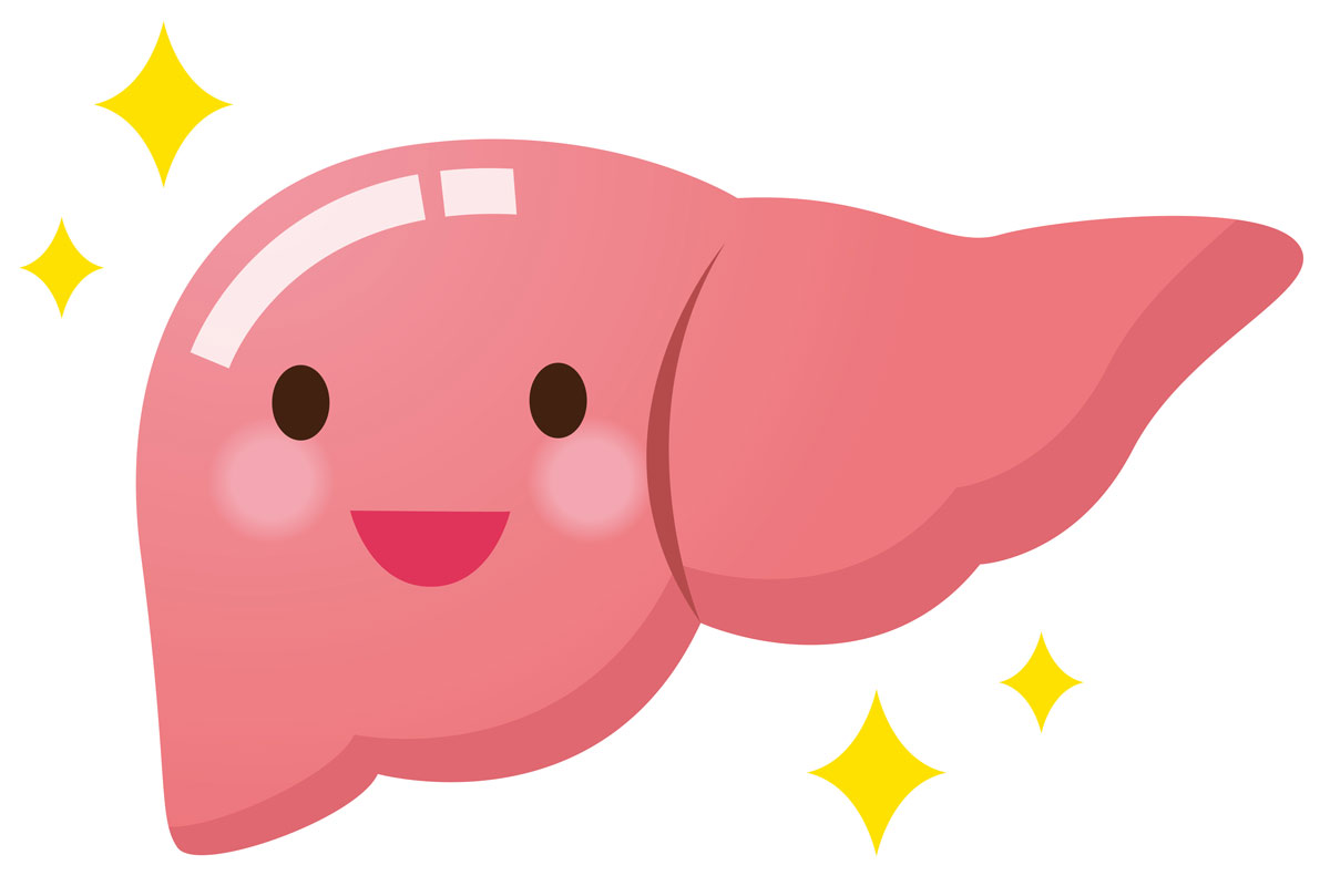 Liver clipart damaged liver. Love your look for
