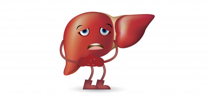liver clipart hepatitis b